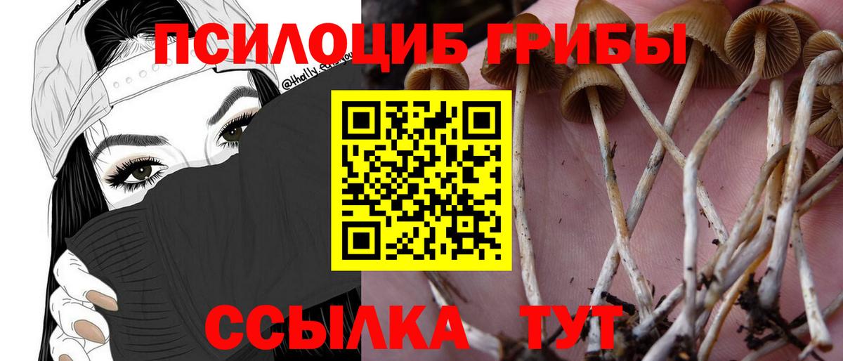 Галлюциногенные грибы мухоморы  Вход с VPN  Псилоцибиновые грибы Magic Shrooms  Котельники 