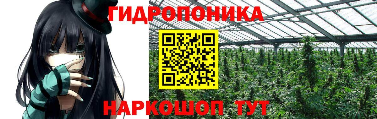 Шишки марихуана индика  Марихуана семена  Котельники  Марихуана сатива  Вход с VPN  МАРИХУАНА ГИДРОПОН 